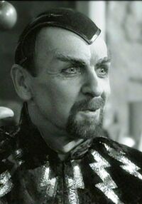 Martinrayner