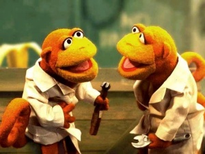 Joeyanddaveymonkey