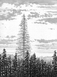Endor Father Tree