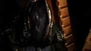 Anubis looking at Daniel -2-