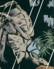 Mandalorian taung