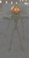 FirBolgGuardian1