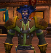 Green leather armor