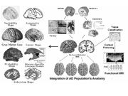 ComputationalBrainAtlas Image CCB