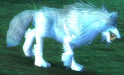 Lupos