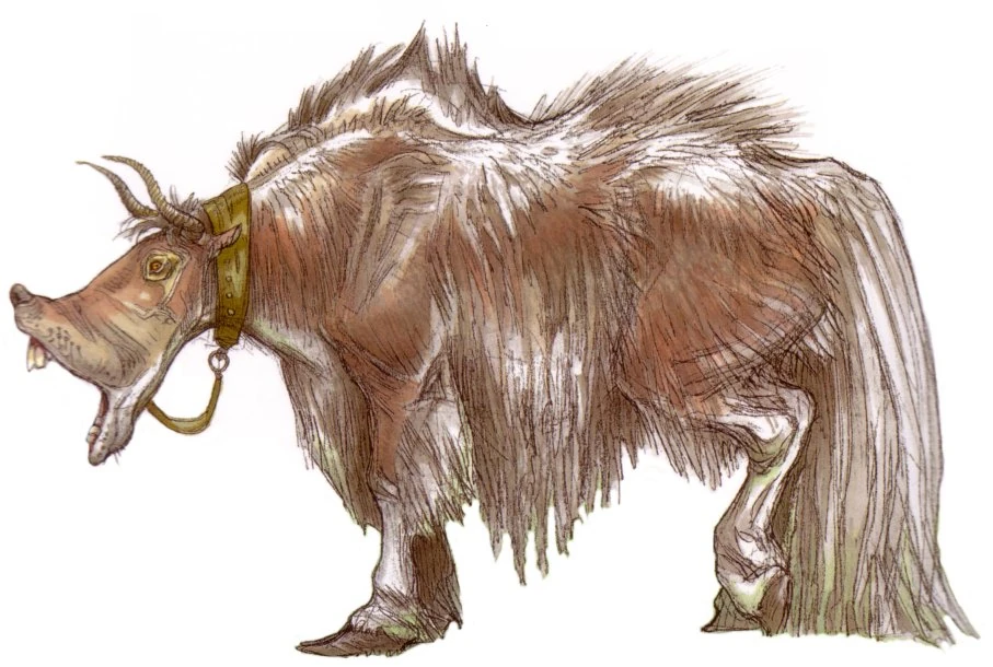 Jerba Wookieepedia, the Star Wars Wiki