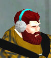 Ear Muffs