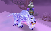 Wintersaber faction