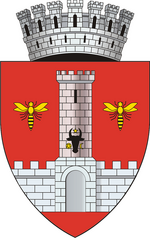 Stema vaslui