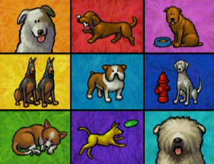 Ewdogs-dvdcard