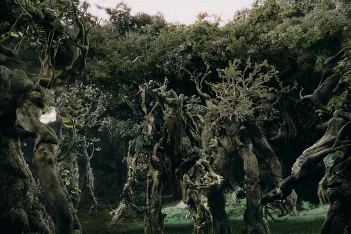 forest creature in lord of the rings