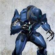 AP Commando