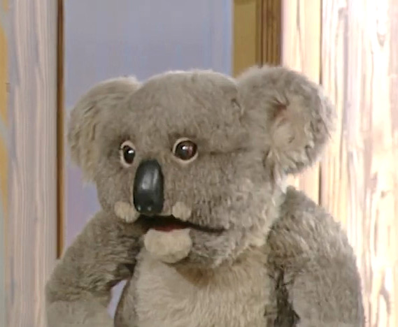 Kevinkoala