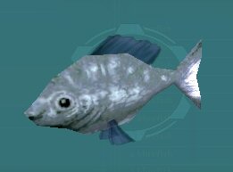 bluefish worx