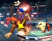 Pikmin 080111i-l