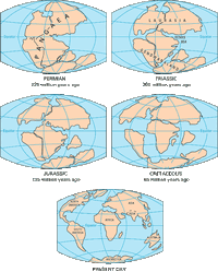 Pangea-continental-drift