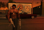Gta-san-andreas-t