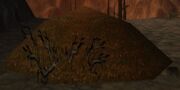 Volcanic Ash