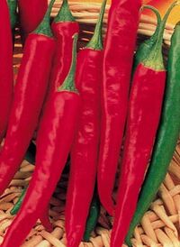 CayennePepper