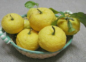 YUZU