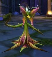 Thornling Seed