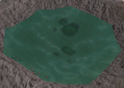 RD stagnantwater