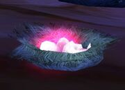Kaliri Nest