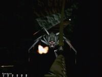 OriginalSpiderBeast