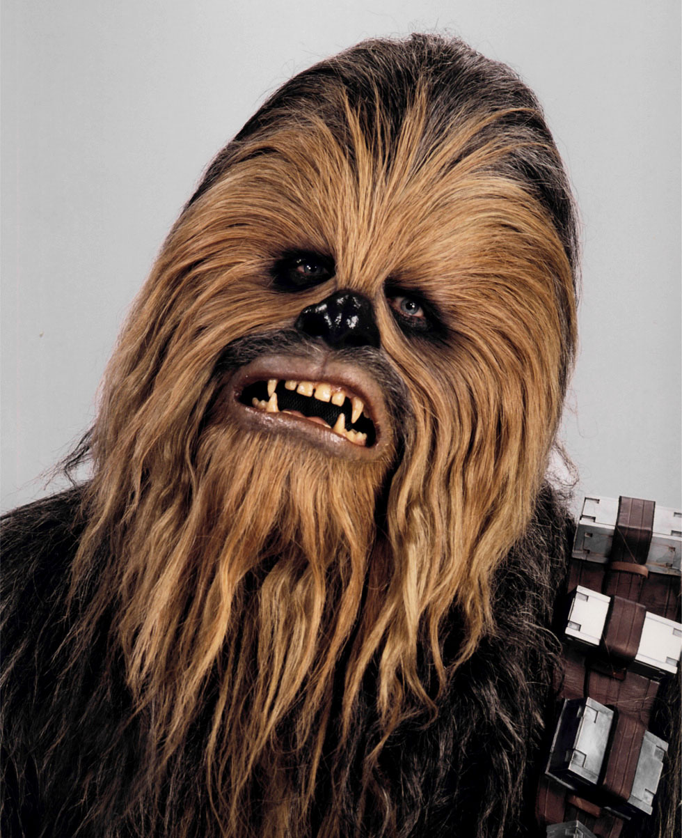 http://img2.wikia.nocookie.net/__cb20080815045819/starwars/images/7/73/Chewbaccaheadshot.jpg