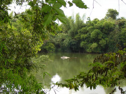 Ranganathitu+bird+sanctuary-5773