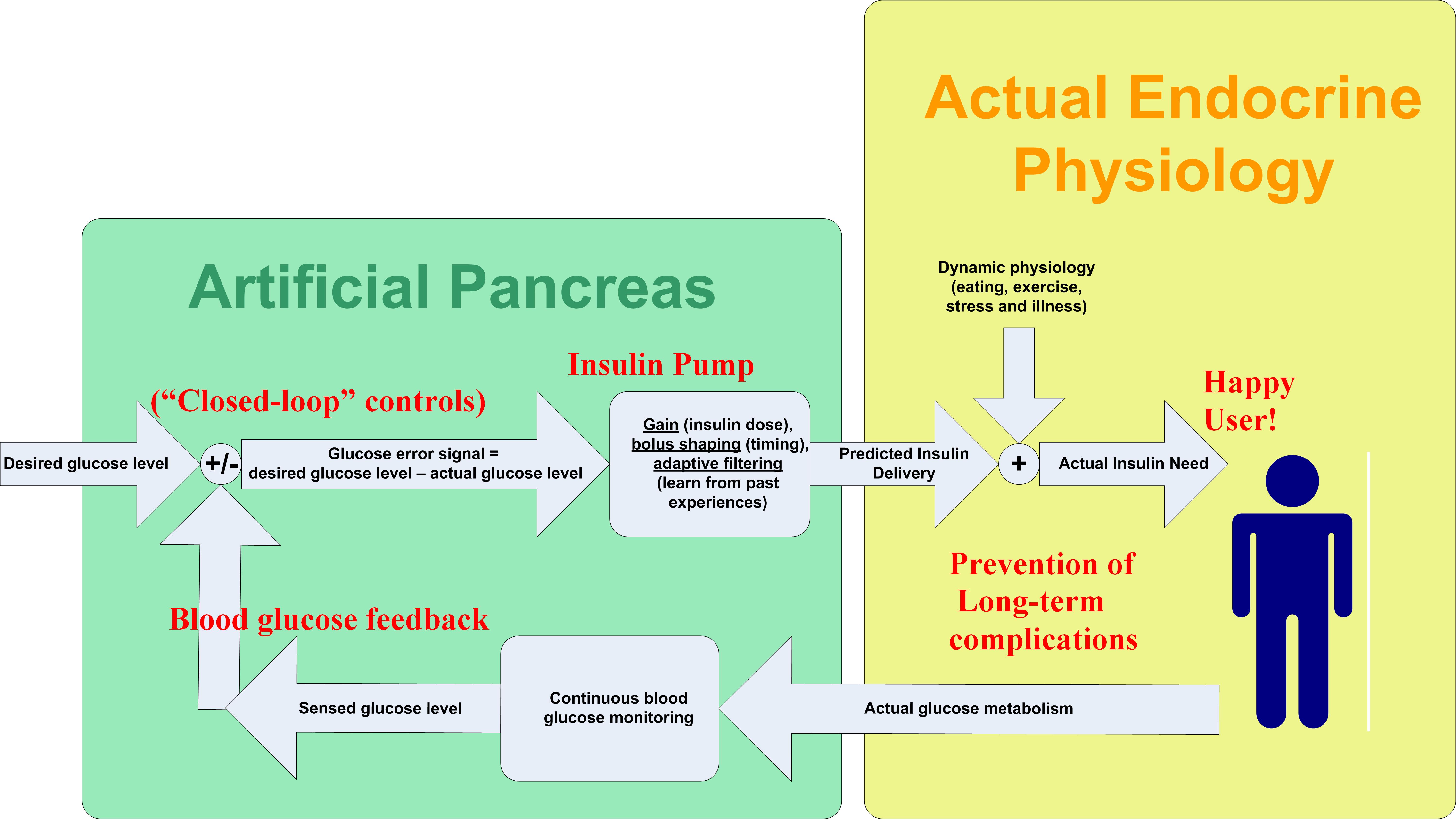 Artificial Pancreas Algorithm Project