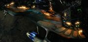 Species 10026 vessel
