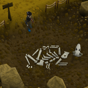 Digsite buried skeleton