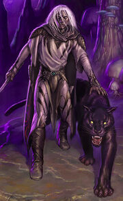 Drizzt