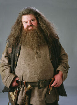 250px-PromoHP3_Rubeus_Hagrid.jpg