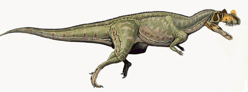 jp ceratosaurus