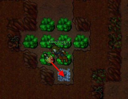 tibia 7.6 real map