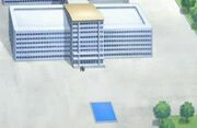 Domino Hospital - 5D's