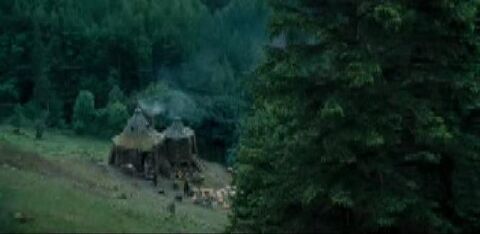 Hagrid