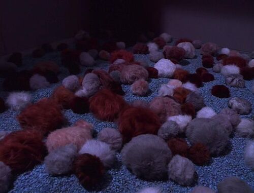 500px-Quadrotriticale_Tribbles.JPG