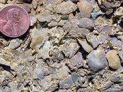 OrdFossilsMN