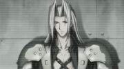 Sephiroth Last Order