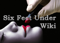 Wiki