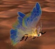 Yellow Moth