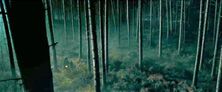 Forbidden Forest GOF 1