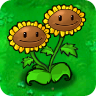 plants vs zombies 1 will sunflowers give sun at night