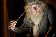 Dumbledore and Elder Wand