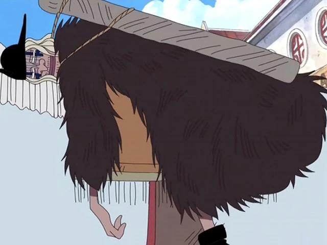 Doc Q one piece