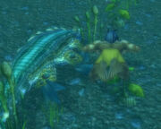Sharu.Croc