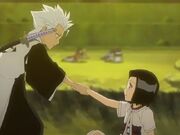 Karin e Hitsugaya